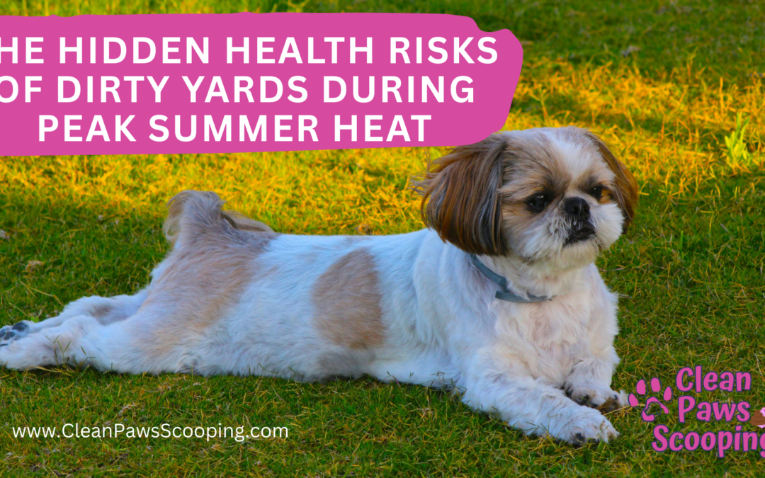 The Hidden Health Risks of Dirty Yards During Peak Summer Heat