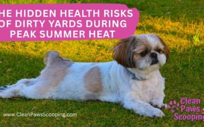 The Hidden Health Risks of Dirty Yards During Peak Summer Heat