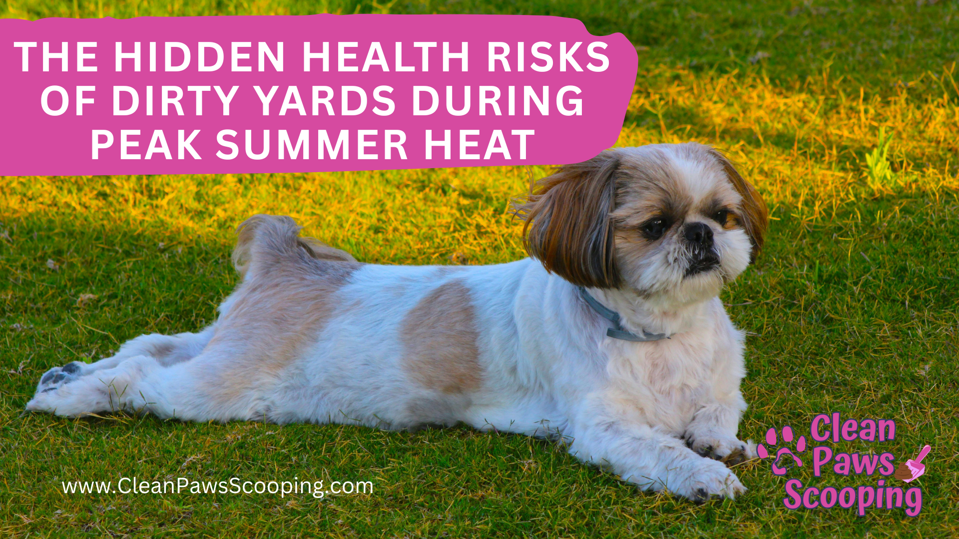 The_Hidden_Health_Risks_of_Dirty_Yards_During_Peak_Summer_Heat