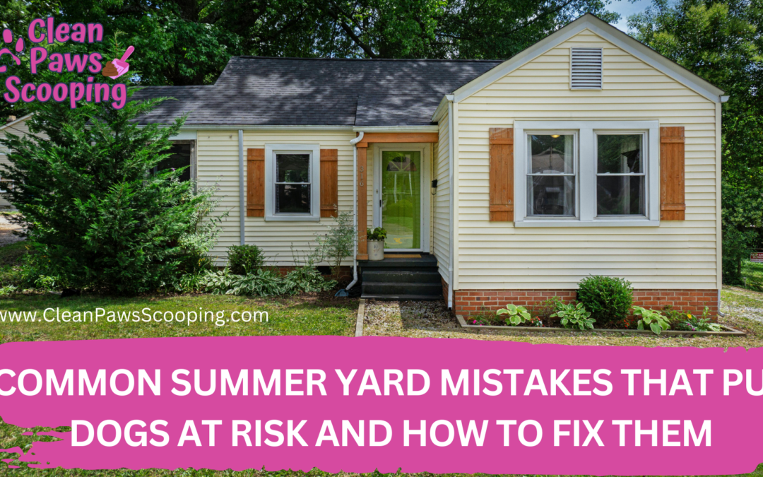 Common Summer Yard Mistakes That Put Dogs at Risk and How to Fix Them