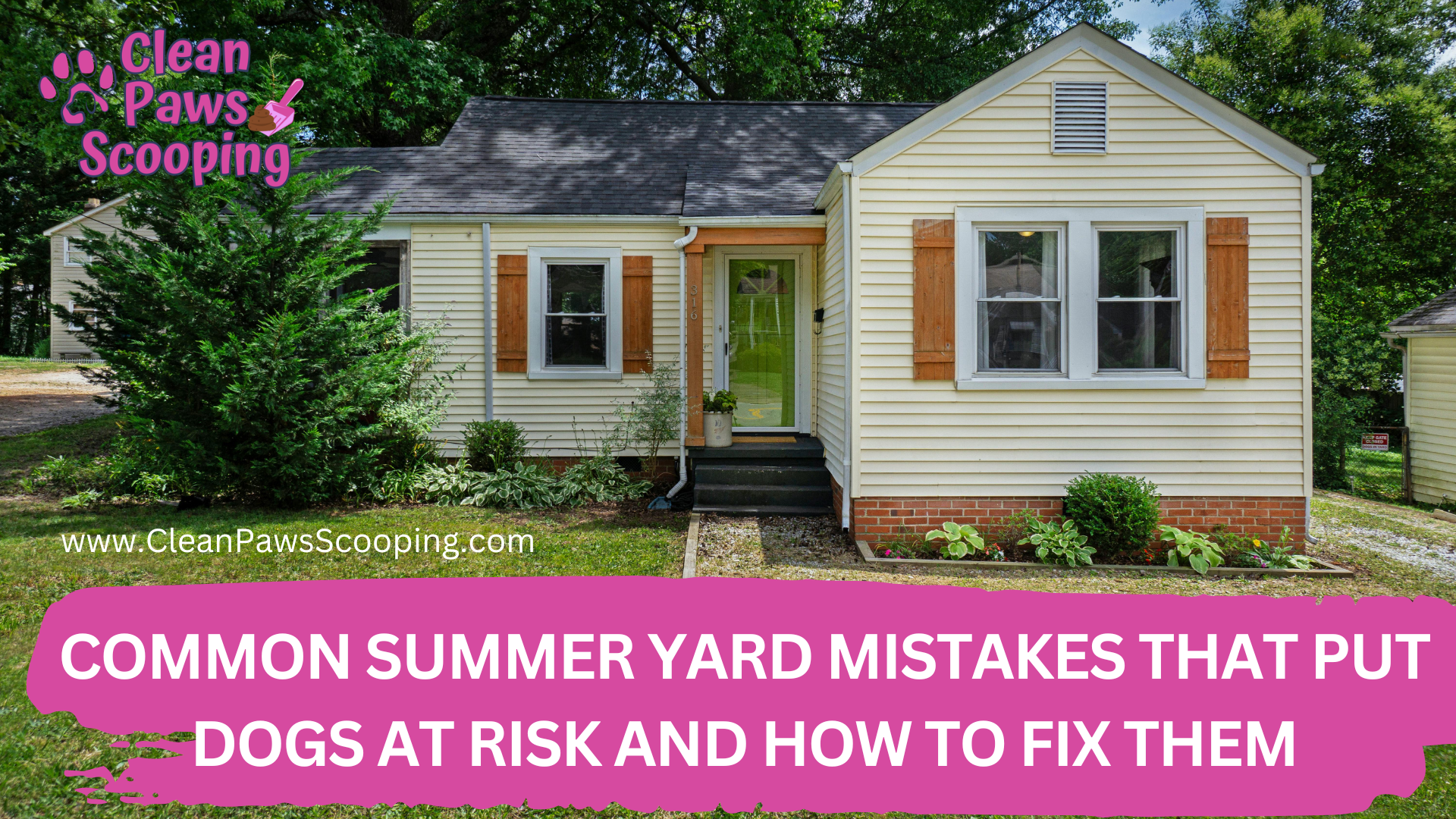 Common_Summer_Yard_Mistakes_That_Put_Dogs_at_Risk_and_How_to_Fix_Them