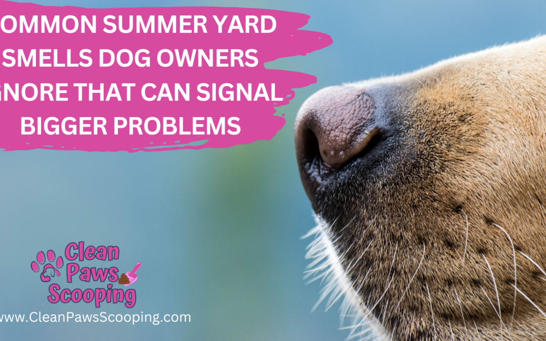 Common Summer Yard Smells Dog Owners Ignore That Can Signal Bigger Problems