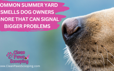 Common Summer Yard Smells Dog Owners Ignore That Can Signal Bigger Problems