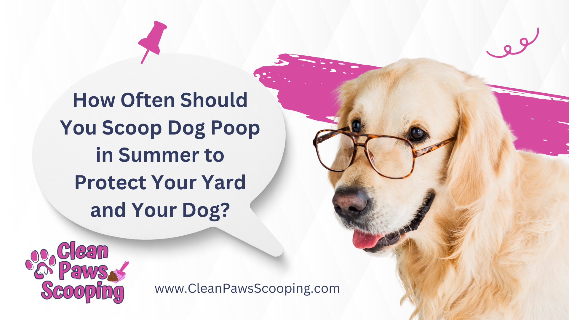 How_Often_Should_You_Scoop_Dog_Poop_in_Summer_to_Protect_Your_Yard_and_Your_Dog