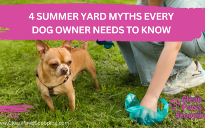 4 Summer Yard Myths Every Dog Owner Needs to Know