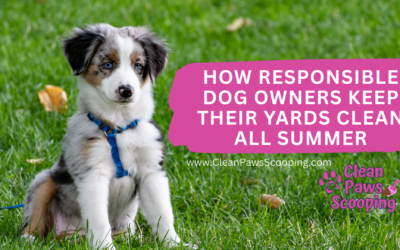 How Responsible Dog Owners Keep Their Yards Clean All Summer