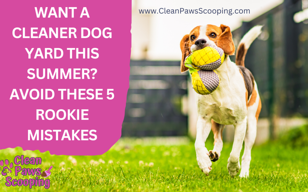 Want a Cleaner Dog Yard This Summer? Avoid These 5 Rookie Mistakes