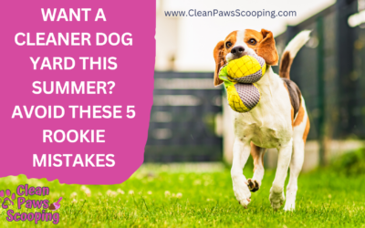 Want a Cleaner Dog Yard This Summer? Avoid These 5 Rookie Mistakes
