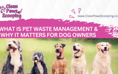 What Is Pet Waste Management and Why It Matters for Dog Owners