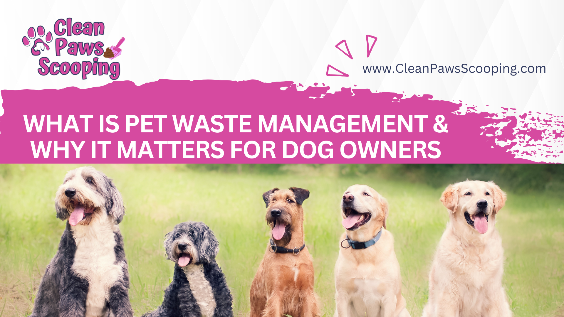 What_Is_Pet_Waste_Management_and_Why_It_Matters_for_Dog_Owners