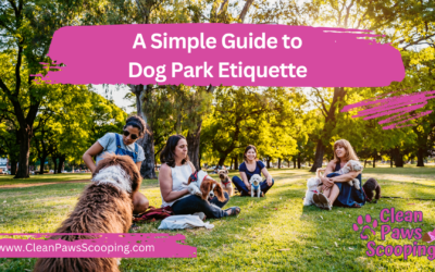 A Simple Guide to Dog Park Etiquette