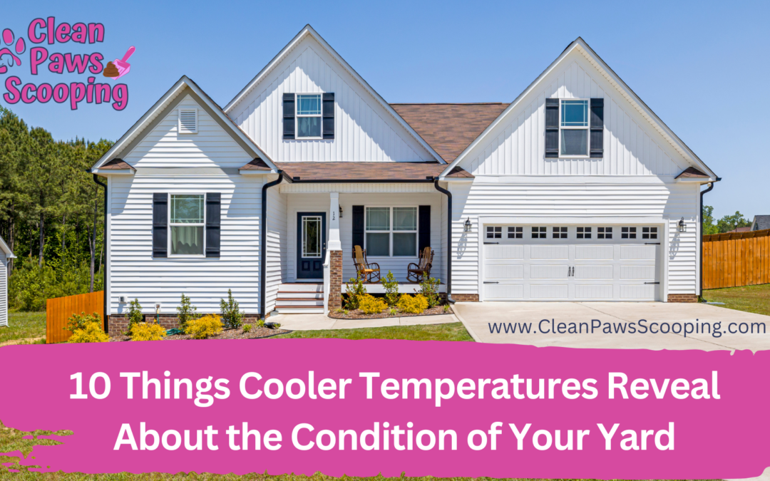 10 Things Cooler Temperatures Reveal About the Condition of Your Yard