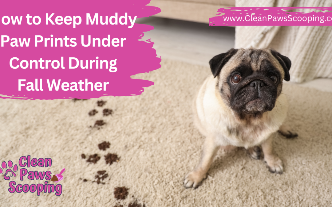 How to Keep Muddy Paw Prints Under Control During Fall Weather